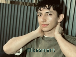 Mikesmart