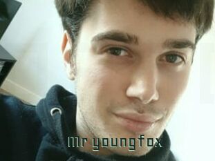 Mr_youngfox