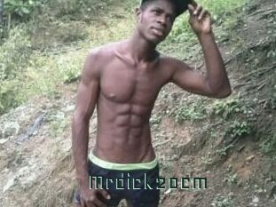 Mrdick20cm