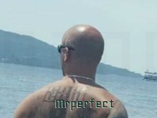 Mrperfect