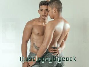 Musclegaybigcock