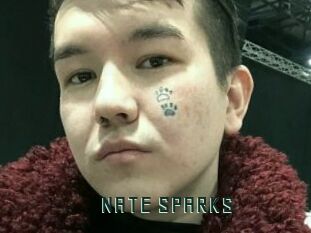 NATE_SPARKS