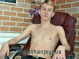 NathanJoyous Gay Porn