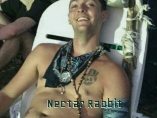 Nectar_Rabbit