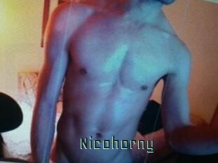 Nicohorny Gay Porn
