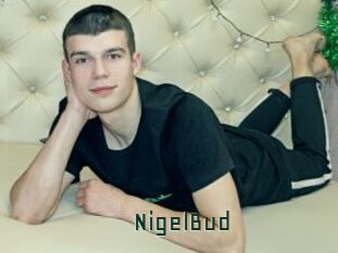 NigelBud