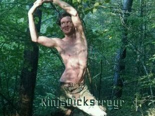 NinjaDickstroyr Gay Porn