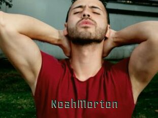 NoahMorton