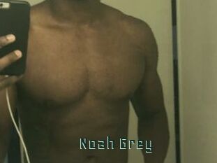 Noah_Grey
