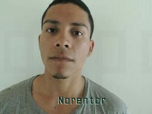 Noren_tor