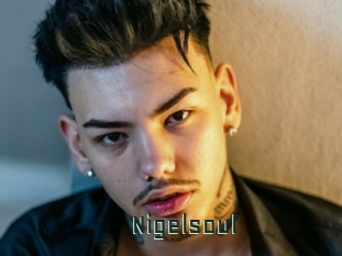 Nigelsoul