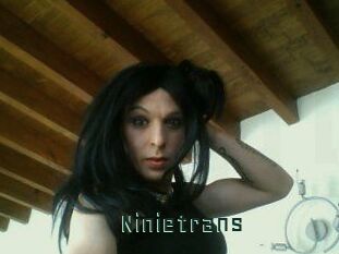 Ninietrans