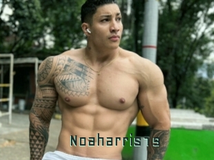 noaharris19 Gay Porn