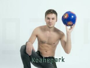 Noahspark