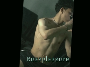 Noespleasure