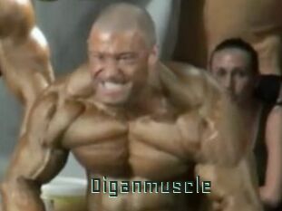 Oigan_muscle