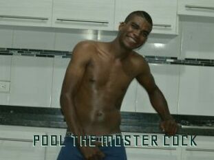 POOL_THE_MOSTER_COCK