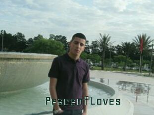 PeaceofLoves