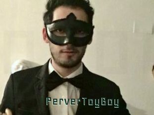 PerverToyBoy