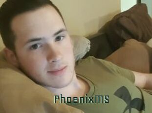 PhoenixMS
