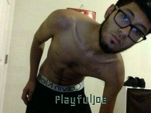 PlayfulJoe