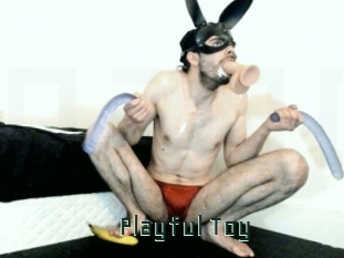 Playful_Toy