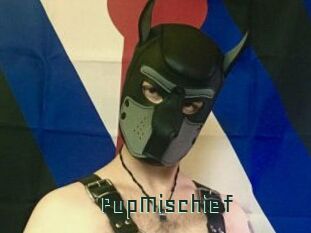 PupMischief