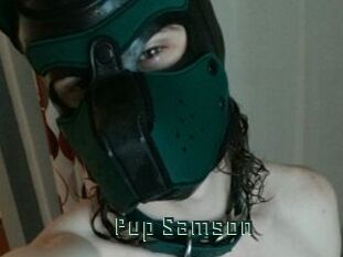 Pup_Samson