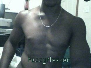 PuzzyPleazer