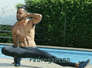 Pedrogarzon