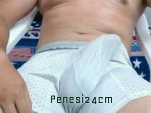Penesi24cm