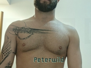 peterwild Gay Porn