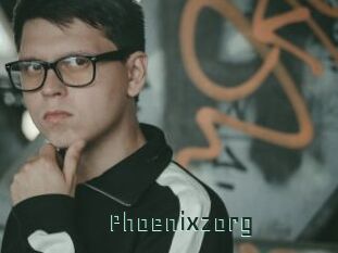 Phoenixzorg