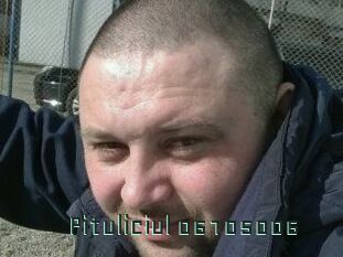 Pituliciul-06105006