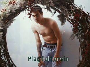 Playfultorvin