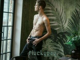 Pluckygay