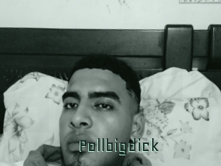Pollbigdick