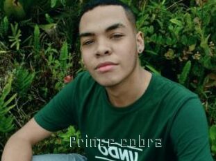 Prince_cobra