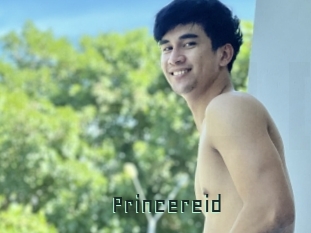 princereid Gay Porn
