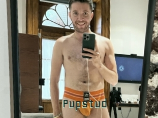 Pupstud