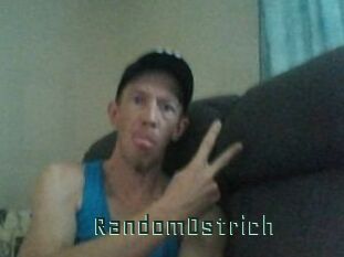 RandomOstrich