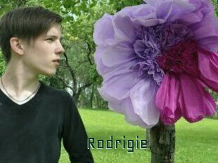 Rodrigie