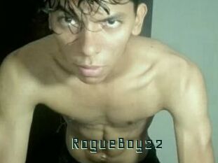 RogueBoy22