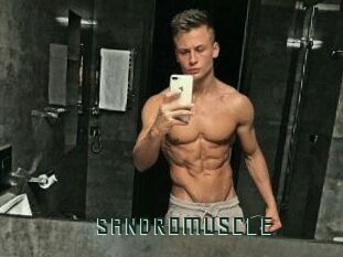 SANDRO_MUSCLE