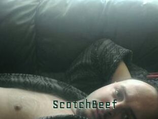 ScotchBeef