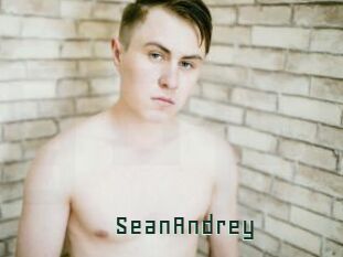 SeanAndrey