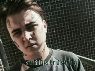 SelfDistruction