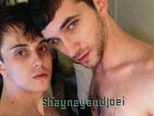 ShayneyandJoei Gay Porn
