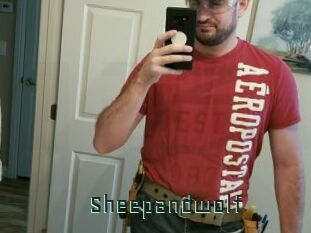Sheepandwolf