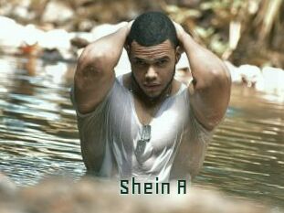 Shein_A Gay Porn